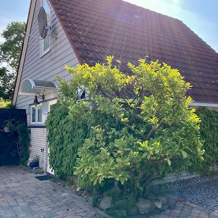 Gudrun 5 Pers Equipped House With Sauna. Dogs Are Welcome! Anjum Екстериор снимка